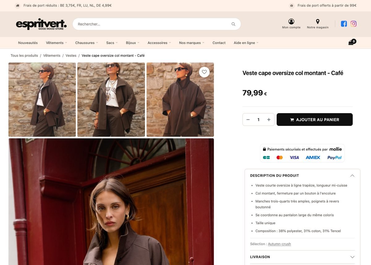 Fiche produit Odoo avec galerie, moyens de paiement Mollie et description structurée